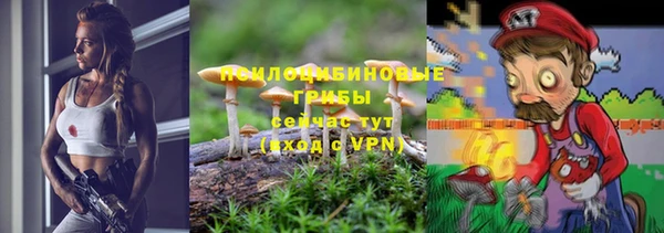 крисы Балахна